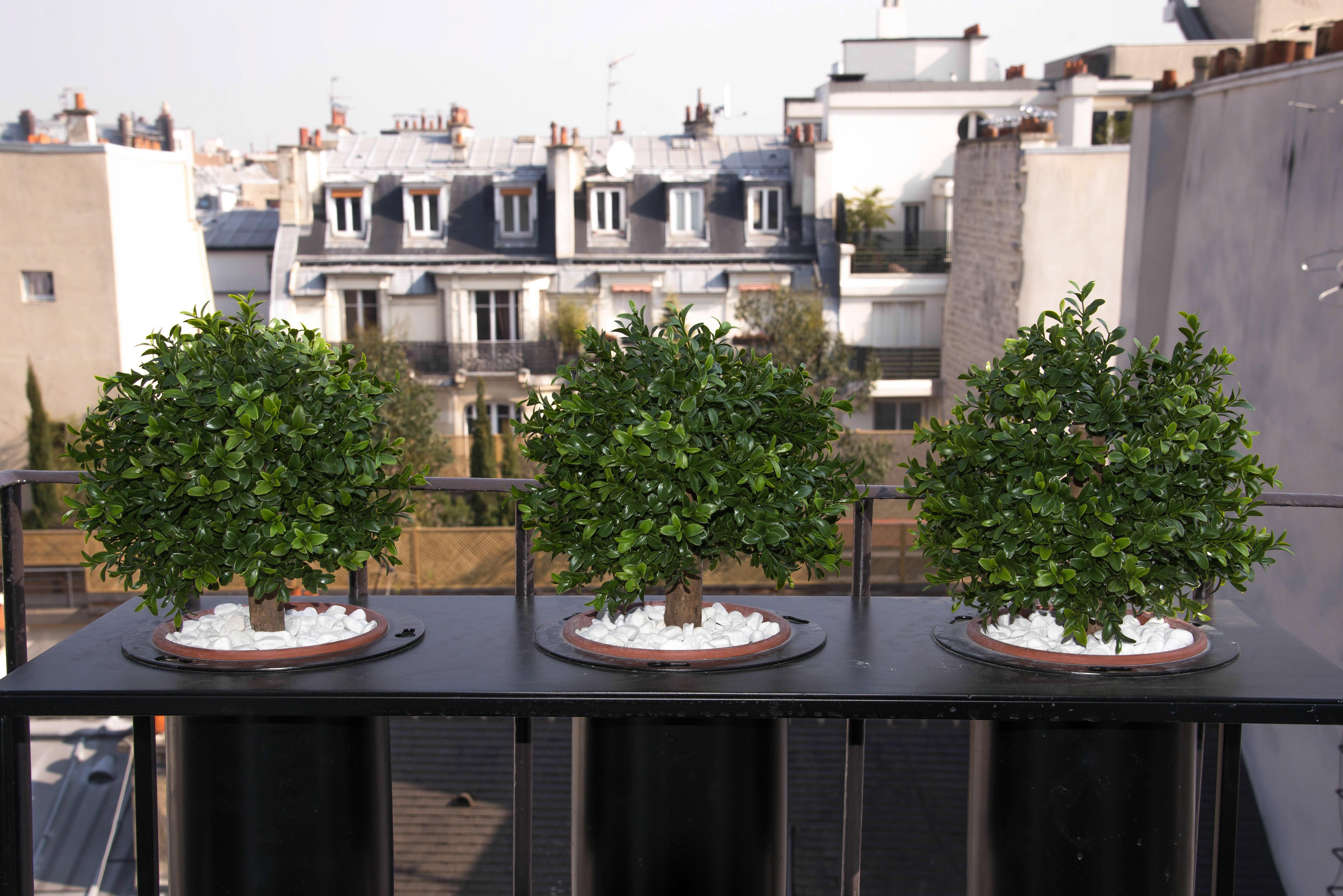 Hôtel Tilsitt Etoile Paris Hotel Paris
